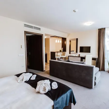 Hotel Auris Private Jacuzzi Apartment Segedyn