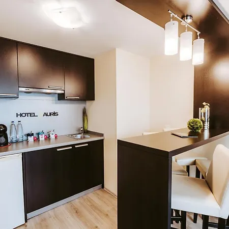 Auris Private Jacuzzi Apartment 4* Segedyn
